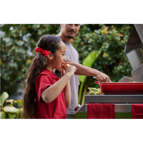 Barbecues-BMF7655SA-56943