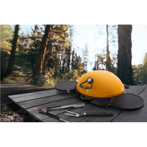 Barbecues-BB18224-69315