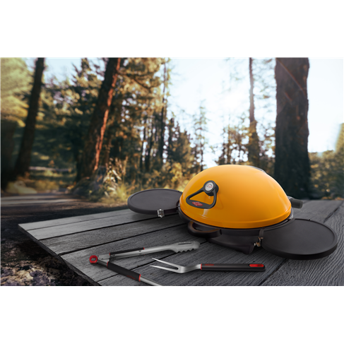 Barbecues-BB18224-69435