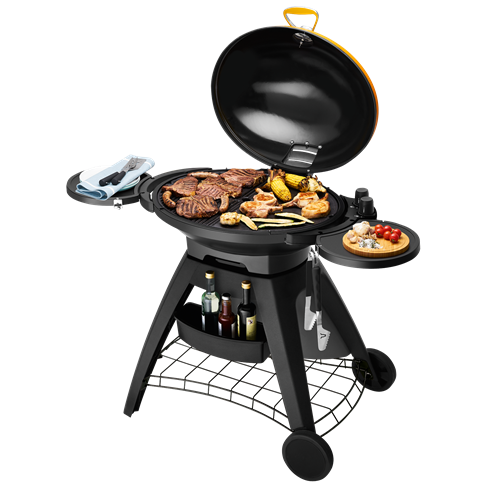 Barbecues-BB722AA-38596